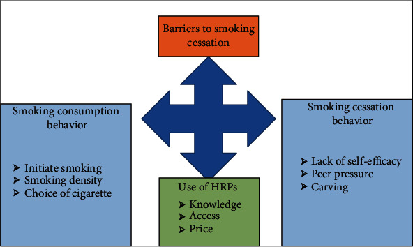 Barriers to Cigarette Smoking Cessation in Pakistan: Evidence from Qualitative Analysis