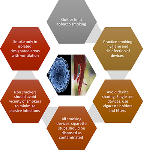 Tobacco Smoking a Potential Risk Factor in Transmission of COVID-19 Infection